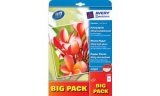 AVERY Zweckform BIG PACK Papier photo jet d'encre, format A4