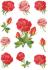 HERMA Sticker DECOR "Roses"